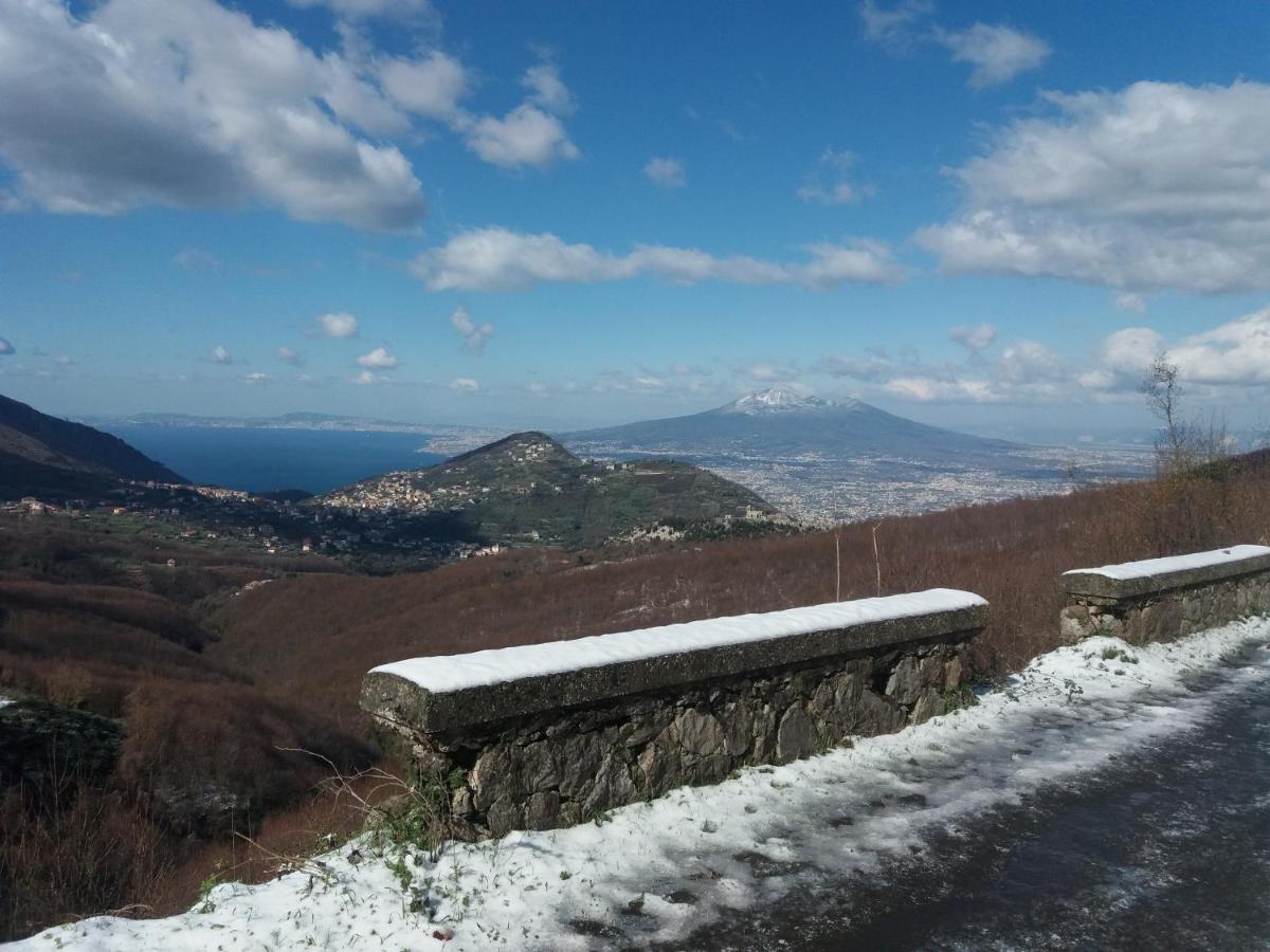 Il Ceppo Sui Sentieri Per Amalfi Bed & Breakfast Pimonte Exterior photo