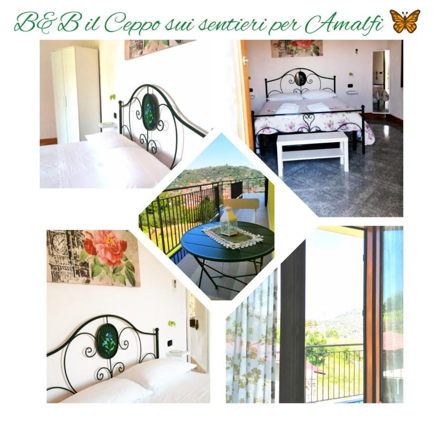 Il Ceppo Sui Sentieri Per Amalfi Bed & Breakfast Pimonte Exterior photo